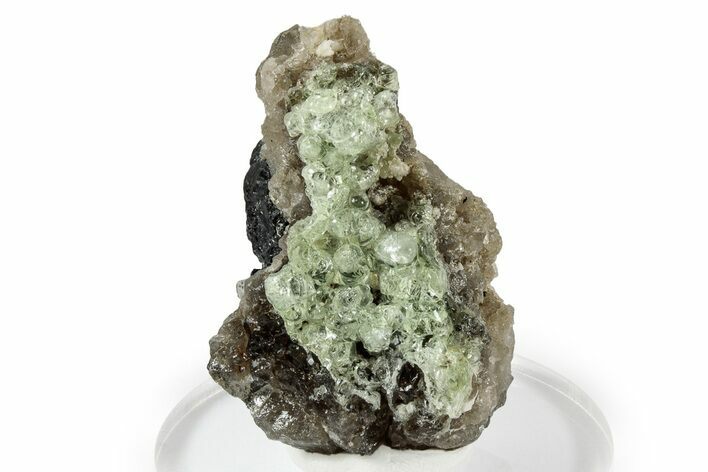 Fluorescent Hyalite Opal over Schorl and Smoky Quartz - Nambia #338061